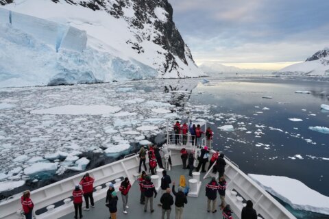 Antarctica’s tourism boom raises concerns about contamination and disease