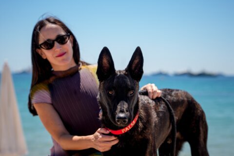 A round of a-paws for ‘La Perra,’ winner of the Palm Dog award at Cannes