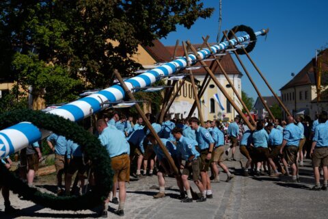 Beer, music and shouts of ‘Hau-Ruck’ as a Bavarian village raises its new maypole