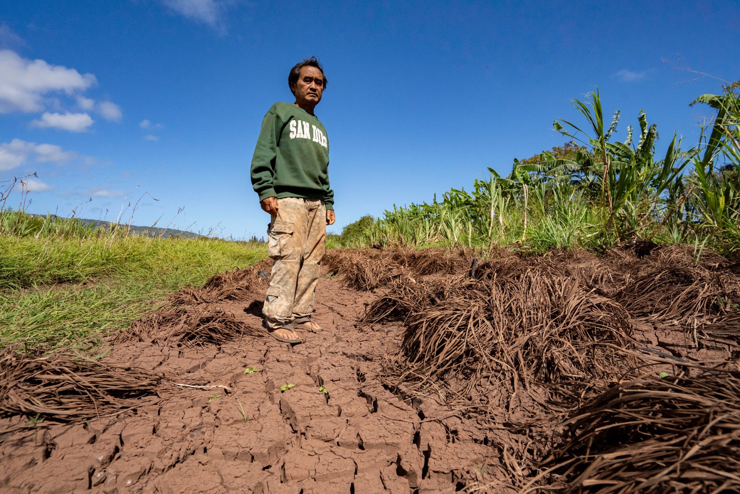 Hawaii’s worst flooding in 20 years leaves farmers struggling and fewer ...