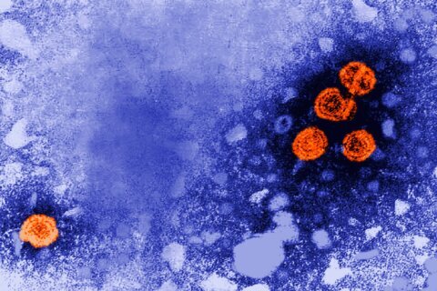 Experimental hepatitis B drug might offer ‘functional cure’ for a subset of patients