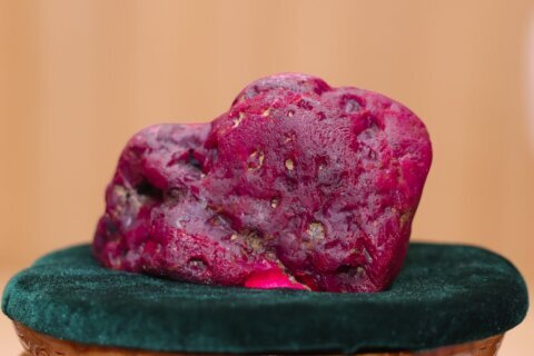 A massive 11,000-carat ruby has been unearthed in Myanmar’s war-scarred gemstone heartland