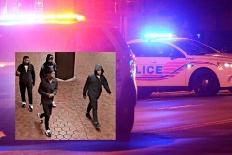 Police release photos in search for suspects after Navy Yard Chipotle brawl