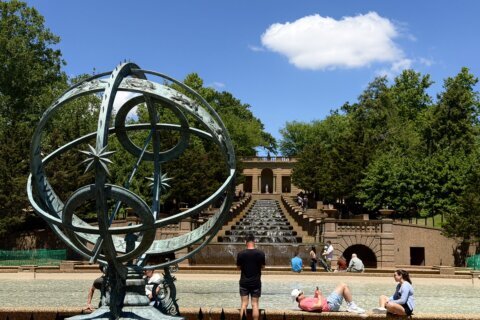 fountain in a park