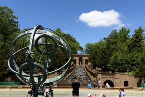 fountain in a park