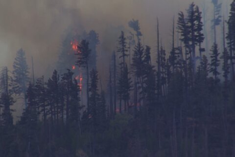 New Mexico wildfire sparked by fatal medical plane crash spreads quickly in rural area