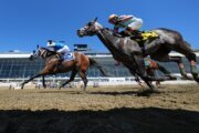 Napoleon Solo holds off Iron Honor by 1 1/4 lengths to win the Preakness at Laurel Park