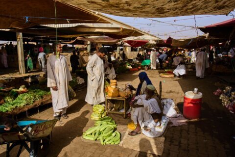 Over 40% of Sudan’s population face high levels of acute food insecurity, monitoring group warns