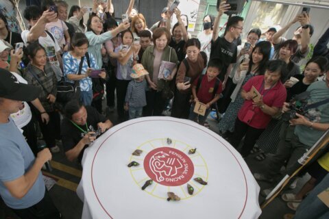 A Taiwanese town embraces a slow pace of life through a snail race