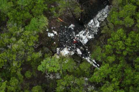 Pickleball players killed in Texas plane crash included a school tennis star, trauma counselor