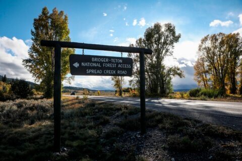 Do Jackson Hole’s busiest trails create a wildlife ‘sacrifice zone’? Study finds coexistence.