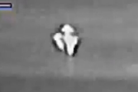 Pentagon releases new batch of UFO files: ‘Did you see that?’