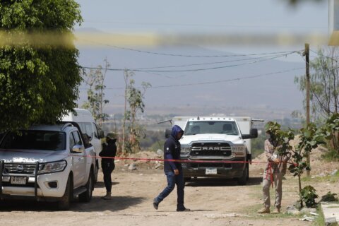 Colectivos de búsqueda en México hallan fosa clandestina con 60 bolsas de restos humanos