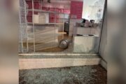 Search for suspect who threw beer keg through Georgetown bakery window in Northwest DC