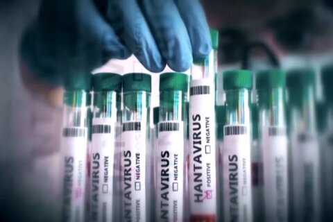Monitorean a tres personas de Maryland y Virginia por posible contagio de hantavirus