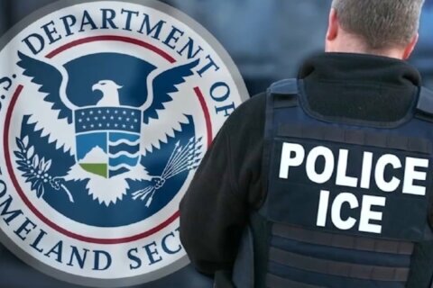 David Venturella, funcionario de larga trayectoria en el ICE, elegido para dirigir la agencia
