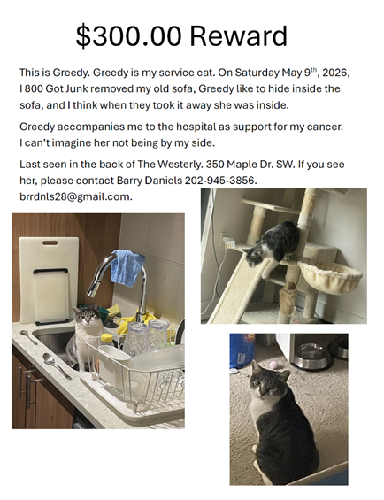 missing cat