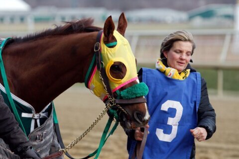 Laurel Park waited 114 years for the Preakness. It may be a farewell as much as a debut