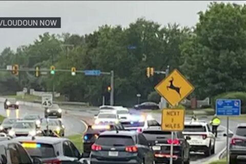 Loudoun: Buscan pistas sobre mujer atropellada cuyo conductor se la llevó en su vehículo