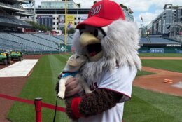 puppy with nationals eagle mascot