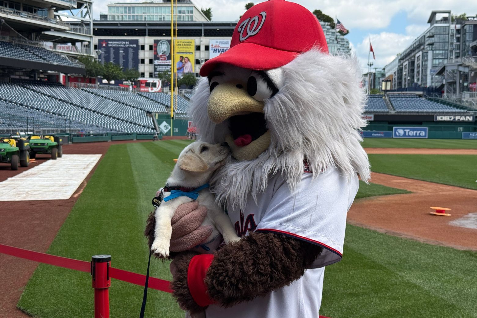 puppy with nationals eagle mascot