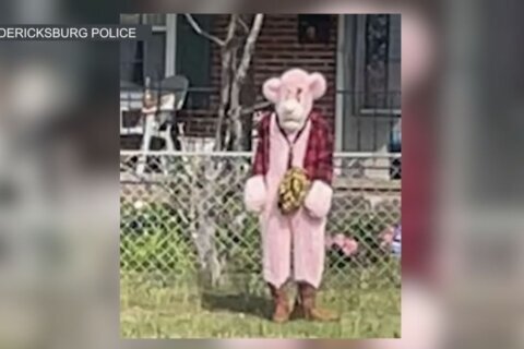 ¿Viste a la pantera rosa? Policía de Fredericksburg busca a hombre disfrazado que acecha a niños