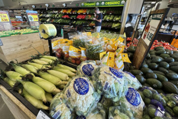 A customer looks at his mobile phone while shopping at a grocery store in Chicago, Thursday, Sept. 19, 2024. (AP Photo/Nam Y. Huh)