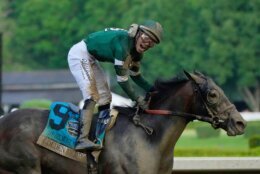 APTOPIX Belmont Stakes Horse Racing