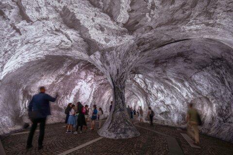 Monumental cave art on Paris’ oldest bridge finally opens, as the public steps and sniffs inside