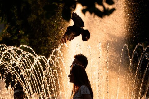 France records around 1,000 additional deaths as extreme heat sets European records