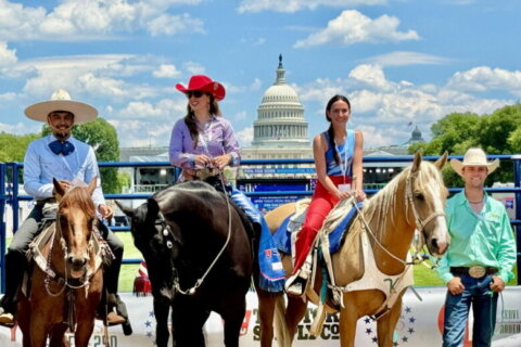 Fairgoers mark America’s 250th on the National Mall