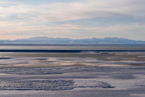 US set to hold latest oil and gas lease sale for Alaska’s Arctic National Wildlife Refuge