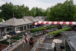 Belmont Stakes Horse Racing