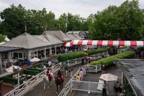 Renegade remains the favorite for the 158th running of the Belmont Stakes