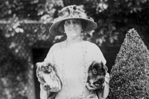 A rare Edith Wharton story is unearthed about the gap between everyday life and the horrors of WWI