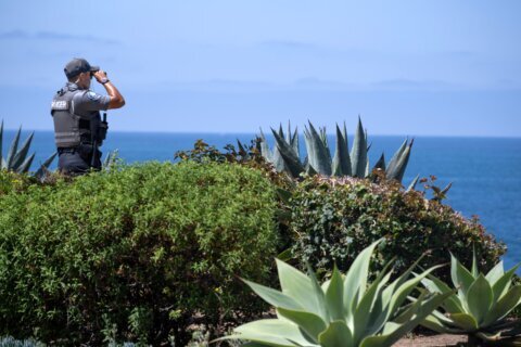Search expands for a teenage girl swept into the ocean in Southern California