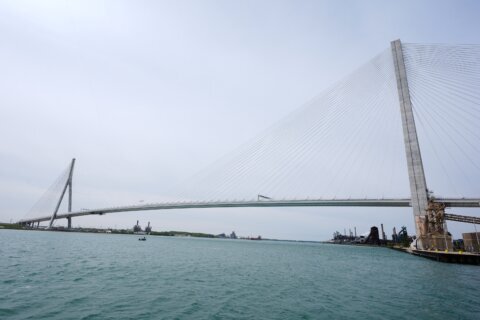 Carney says opening of Canada-US bridge may take ‘a little longer’