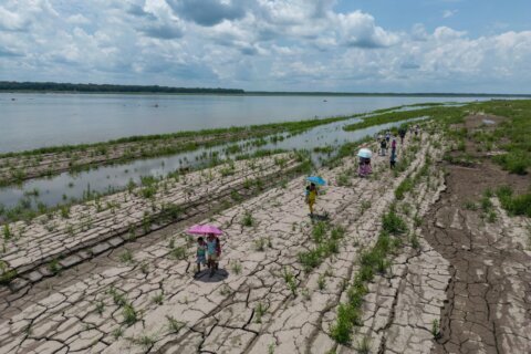 Colombia’s presidential runoff could impact the future of the Amazon rainforest and fossil fuels