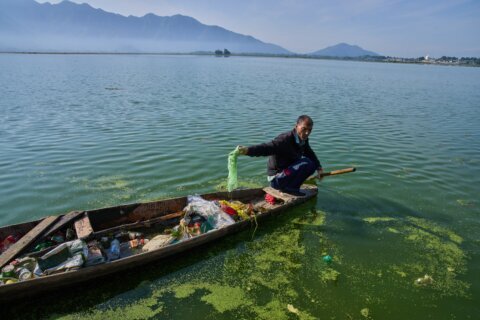 Warming climate, pollution and unplanned growth push Kashmir’s lakes toward disappearance
