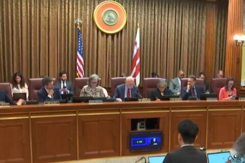 dc council