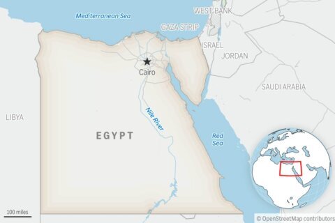 Former Egyptian doctor arrested after alleging abuses at hospital is released on bail, lawyer says