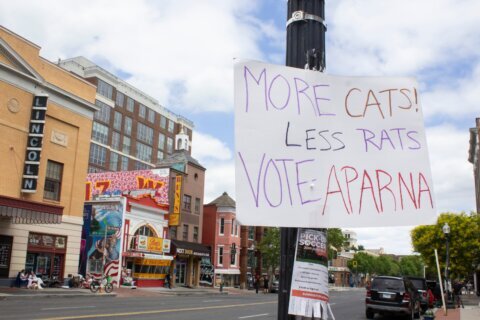 AP Decision Notes: What to expect in the Washington, DC, primary