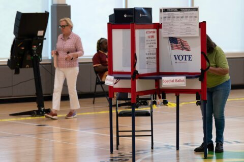People cast their vote during D.C. primary election