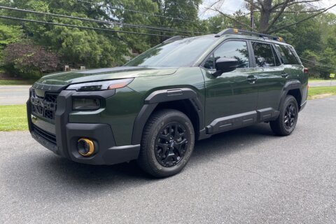 full image of Outback