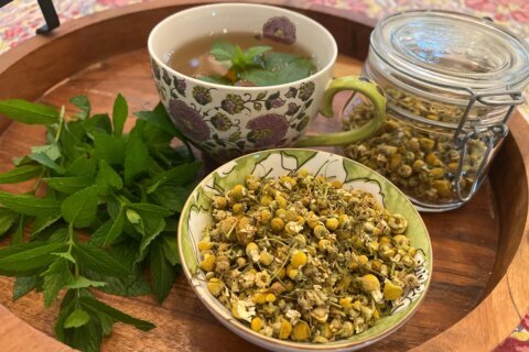 A soothing cup of herbal tea can begin in your garden