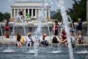 More stormy, hot weather forecast for DC area after fallen trees killed 2 women Thursday