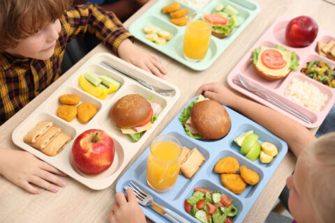 Little kids eating lunch