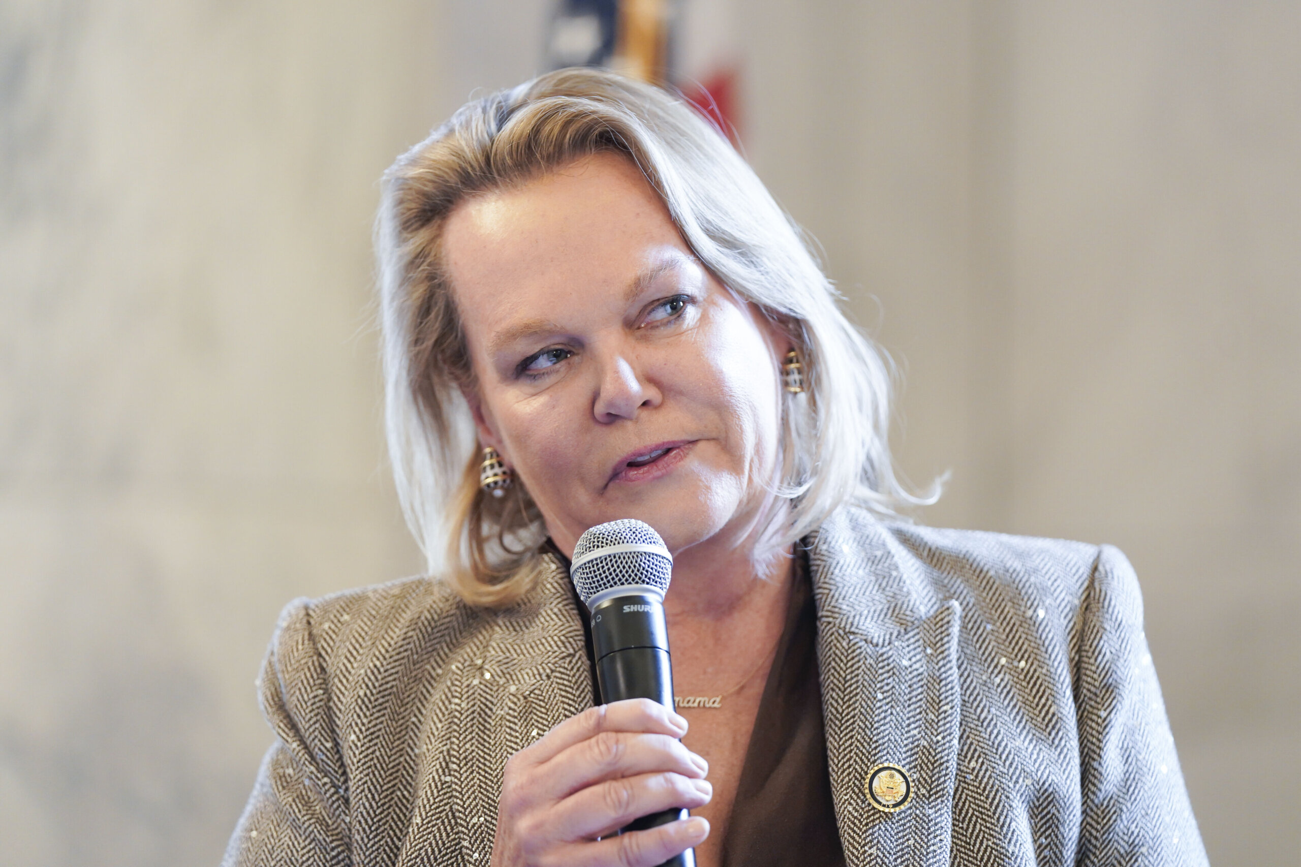 Image for Md. primary candidates in 6th Congressional District share priorities