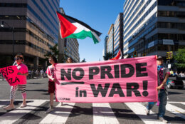 D.C. Hosts Capital Pride Parade