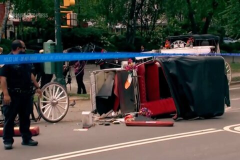New York mayor, other leaders push to end horse carriage industry after Indian teen’s death